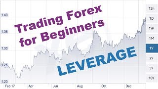 Trading Forex For Beginners - Leverage