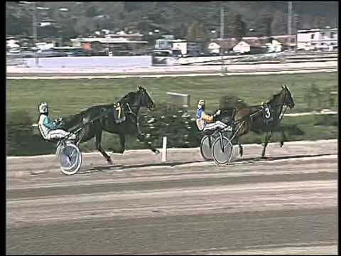 Trotto 02/04/2015 - 4° corsa