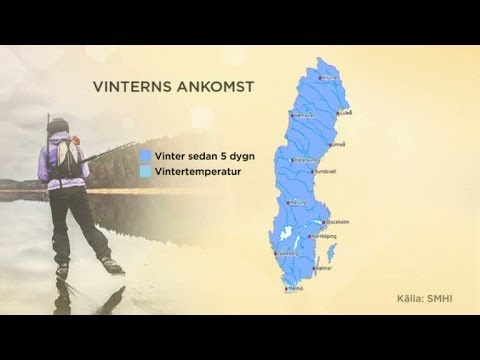 Peter Kondrup om den svenska vintern - Nyhetsmorgon (TV4)