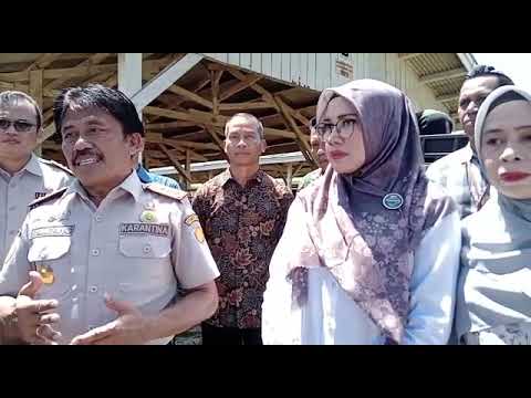 Penjelasan Kepala Badan Karantina Pertanian Kementerian Pertanian RI Terkait Lalu Lintas Ternak Di K