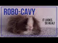 Robo Cavy The Realistic Robotic Guinea Pig