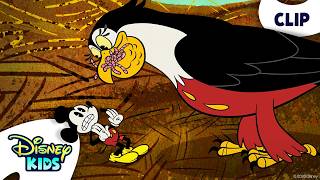 Mickey Mistaken For A Baby Bird 🦅 🪱 | The Wonderful World of Mickey Mouse | @disneykids