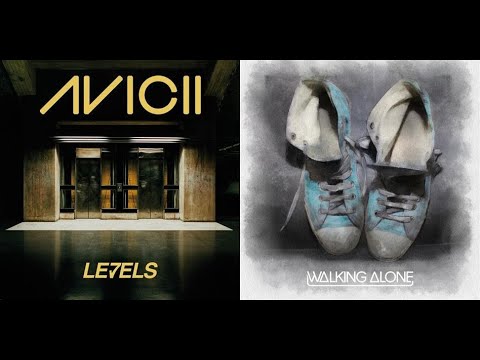 Avicii - Levels/Dirty South & Those Usual Suspects featuring Erik Hecht - Walking Alone {MASHUP}