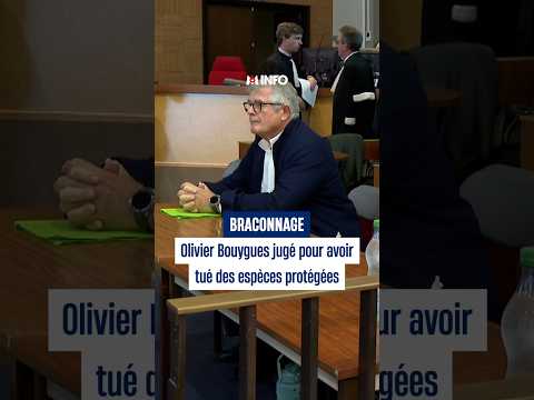 Olivier Bouygues jugé pour avoir tué des espèces protégées