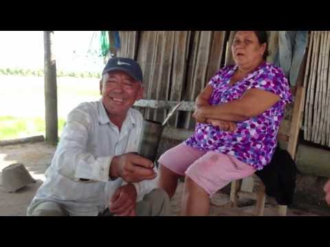 Terere Yere or The Art of Drinking Terere, Mate