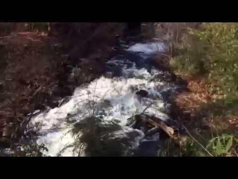 Moore State Park Paxton Massachusetts