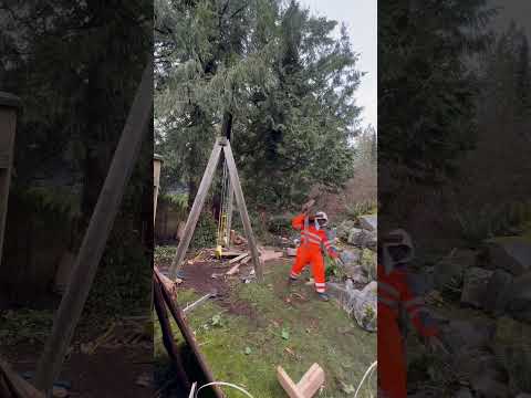 Treehouse & Playground Teardown