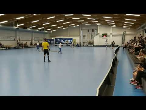 Warriors 05 - Eräviikingit itä 05