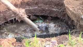 How to Unplug a Toilet &amp; Fix Your Septic System