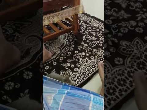 #cat #babycat #playing #fun