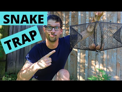 Snake Trap that Works!