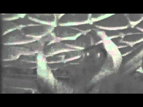 Srila Prabhupada's Arrival Lecture Pittsburg 1972