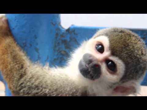 In Bike We Trust - La croisière s'amuse sur l'Amazonie - Episode 13 [HQ]