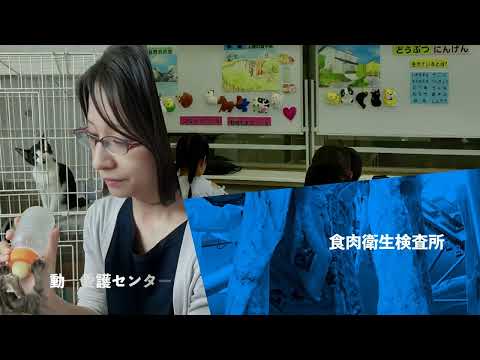 宮崎県 農政水産部・福祉保健部