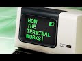 What Happens When You Type A Command In Your Terminal