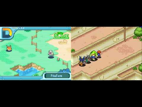 Cinnamon Ball Nintendo DS