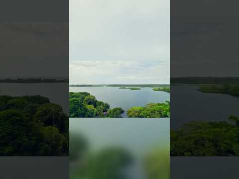 Toucan Bay From Above 💙💚 Isla Popa — Bocas del Toro, Panama #Shorts