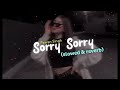 Pawan Singh Sorry Sorry Slowed Reverb