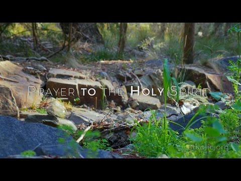 Click to Watch the Pope Francis encourages encounters with the Holy Spirit video