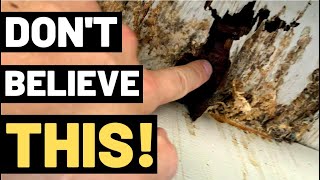 THE TRUTH ABOUT WOOD ROT (You need to watch this!!)