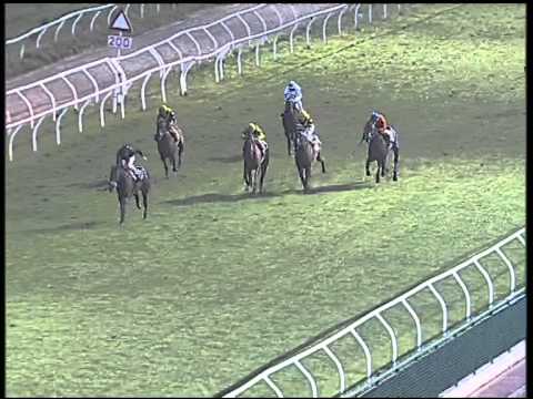 Galoppo 24/02/2015 - 5° corsa