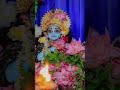 What Is Doraemon Closing Song Was Made For Krishna Krishna Radhakrishna Radha Hindudeity Shorts