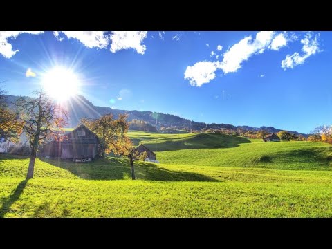 DEVOCIONAL 15 05 2020