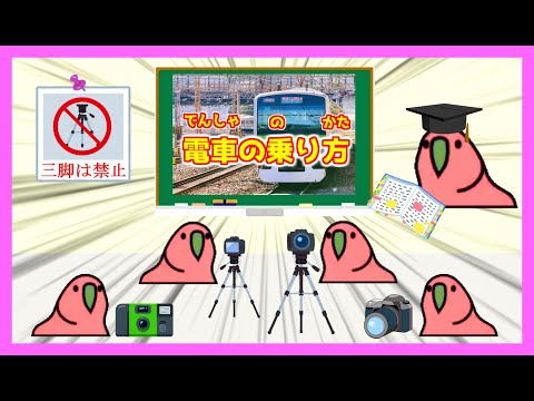 トリテツパロット #PartyParrot #撮り鉄 【パーティーパロット】