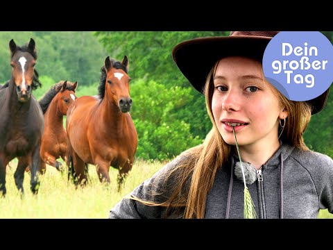 Pferde, Rinder, Gaucho - Linn beim Westernreiten | Dein großer Tag