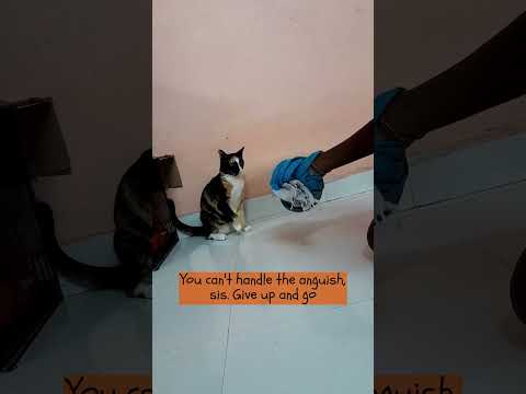 Anila teaching boxing 🥊🥊 to sis...............