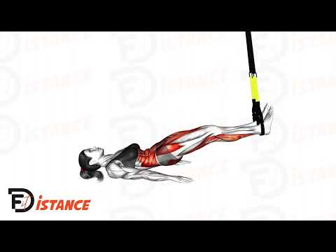 Exercice Extensions des ischio-jambiers avec TRX