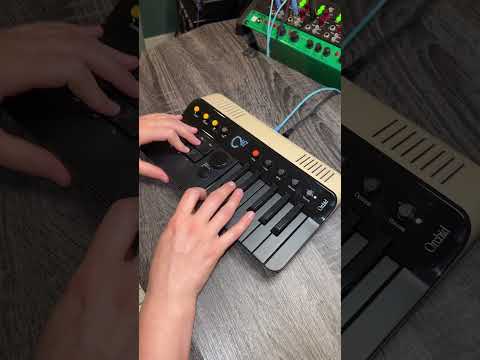 First impressions: Orchid by Telepathic Instruments #musicproduction #tameimpala #synth #music