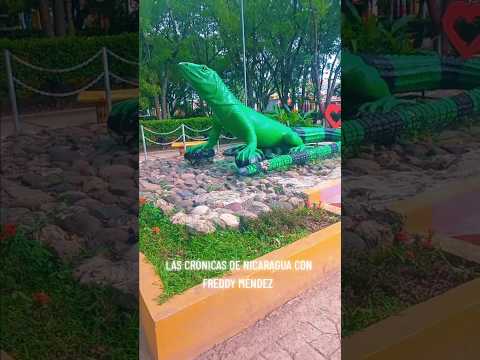 iguana en el parque  de #Palacagüina en el departamento de Madriz #turismo #viajes #nicaragua
