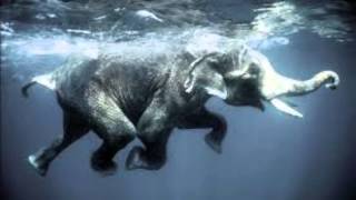 Lucky - Molly Johnson