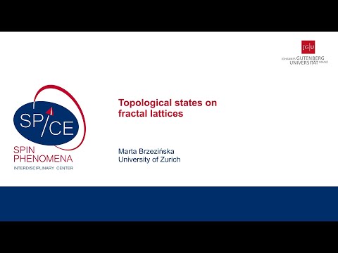 Talks - Young Research Leaders - Marta BRZEZIŃSKA, University of Zürich