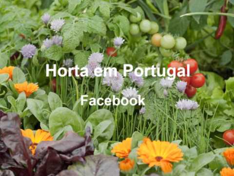 Horta em Portugal