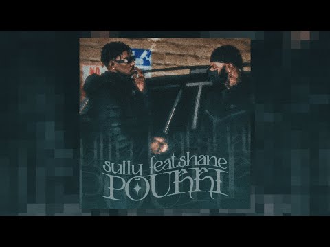 $ULLY ft.Shane - L'humain est pourri (Official Audio)