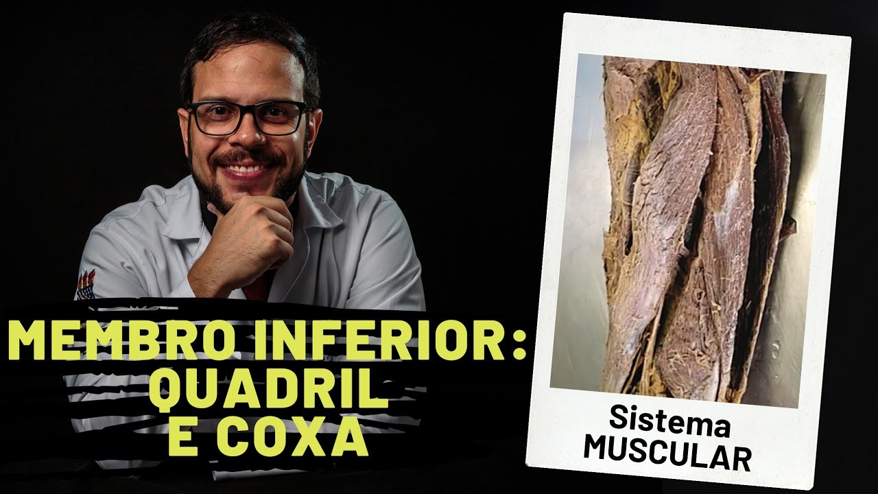 SISTEMA MUSCULAR: MEMBRO INFERIOR - QUADRIL E COXA - AULA PRÁTICA COM PROF. ANDRÉ OLIVEIRA