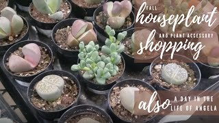Accessory & Plant Shopping | Lowes, Home Depot, Michaels, TJ Maxx, JoAnn Fabrics