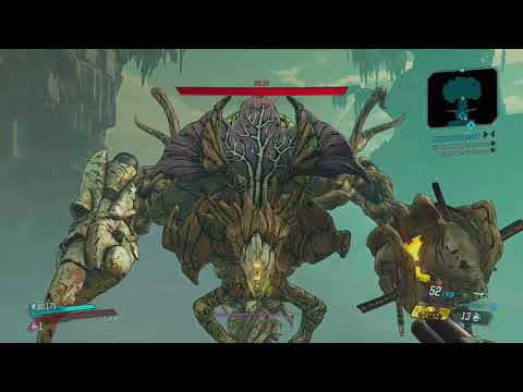 Borderlands 3 Moze Build