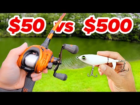 $50 vs $500 Topwater Budget Fishing Challenge (Rod, Reel, Lures)
