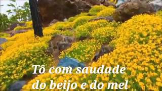 Maria Bethânia ♥ Gostoso Demais (com legendas)