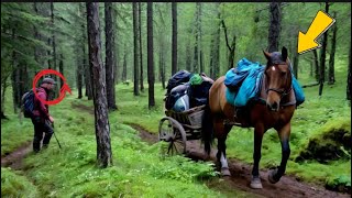 Hikers Spot Lone Horse Out In Forest – They Burst Into Tears When They See What It Carries