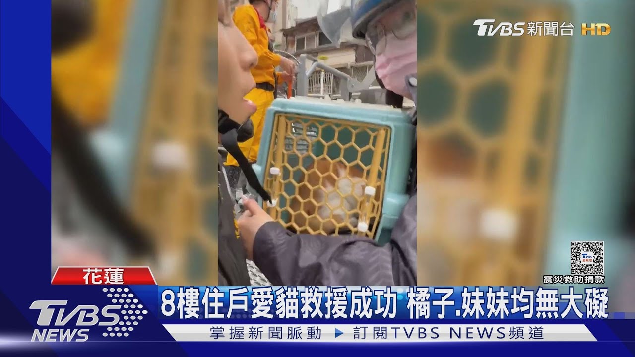 天王星5貓已救2！　網友外送「青菜」到天王星：給9樓雞