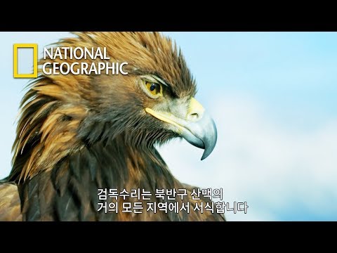 아이콘