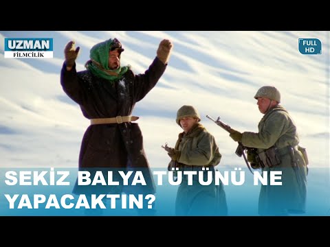 Kimin Tütünü Bunlar, Kim İçin Taşıyorsunuz? - Katırcılar