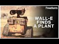 WALL E Finds A Plant WALL E Freeform