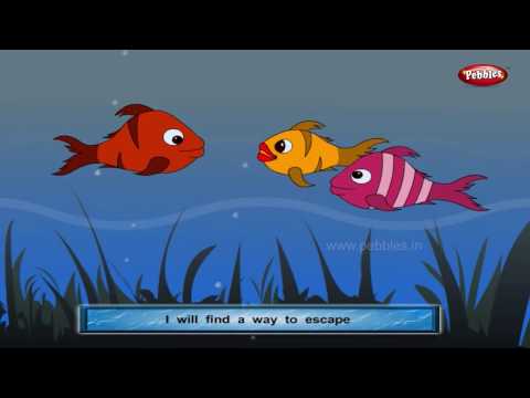 Three Fish | Panchatantra English Stories | Stories For Kids | Stories For Children HD