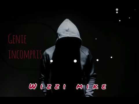 WIZZI MIKE - GÉNIE INCOMPRIS [AUDIO]