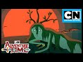 Who Is The Green Lady Adventure Time Season 5 Cartoon Network